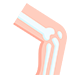 Orthopedics Icon